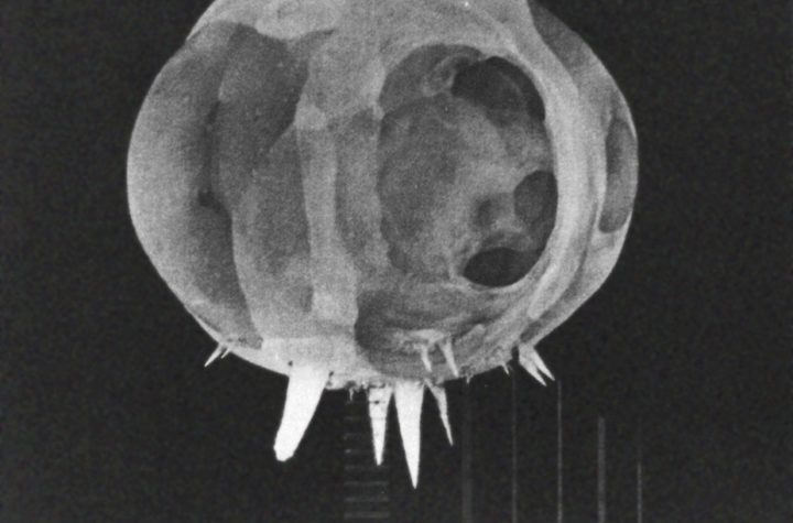 Bomba jądrowa Tumbler-Snapper kilka nanosekund po zapłonie, zdjęcie z kamery Rapatronic, 1962/Foto Wikipedia