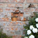 Miejsce po kulach Miejsce po kulach