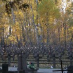 Powązki widok ogólny Powązki widok ogólny