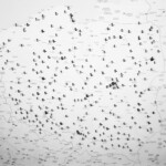 Czerwona mapa Polski Czerwona mapa Polski