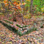 Lasek na Kole- pozostałości/ruiny obozu zd.własne