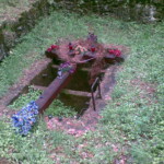 Masowy grób ofiar NKWD na terenie kopalni Salina