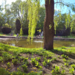 Fontanny przy rzece Drna przy Cytadeli Park Fosa/ foto własne